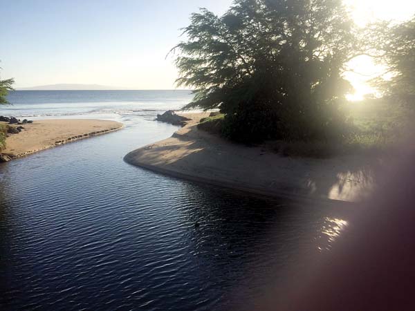 Must See: Kaulana ‘O Na Wai ‘Eha